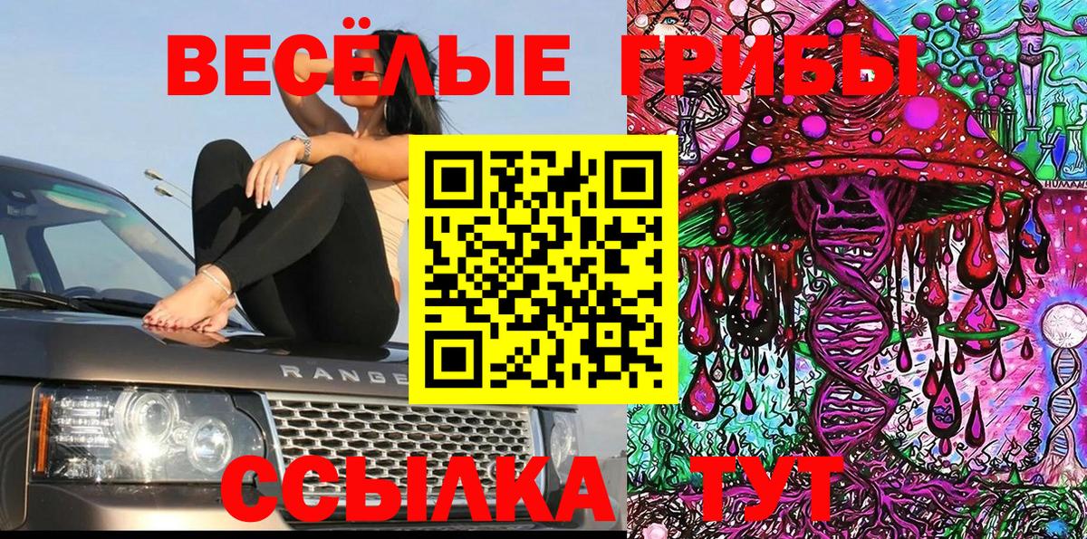 Псилоцибиновые грибы MAGIC MUSHROOMS Томск