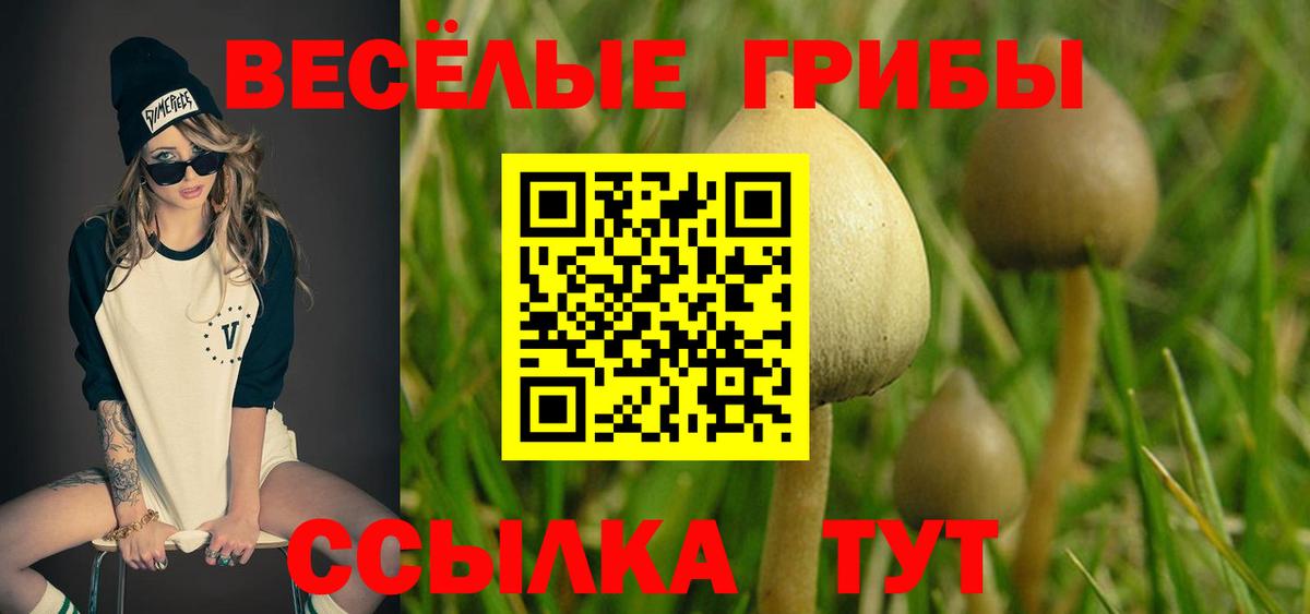 Томск  Псилоцибиновые грибы ЛСД  Вход с VPN 